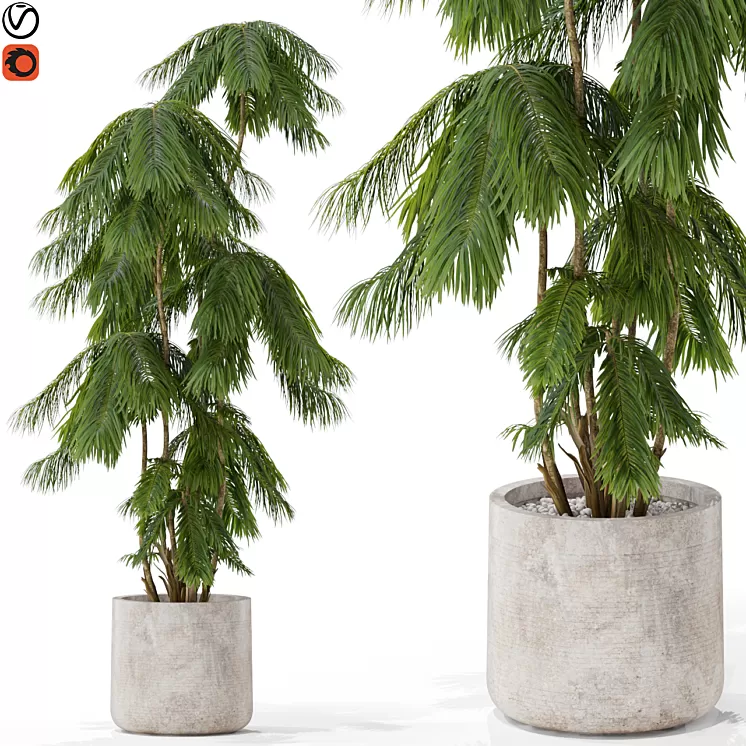 Plants collection 573 3D Model Free Download Plants collection 573 3D Model Free Download