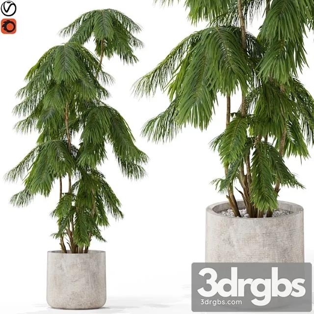 Plants collection 573 Plants collection 573