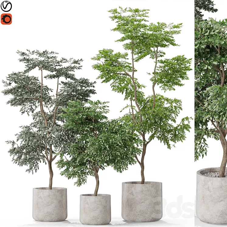 Plants collection 576 3D Model Free Download Plants collection 576 3D Model Free Download