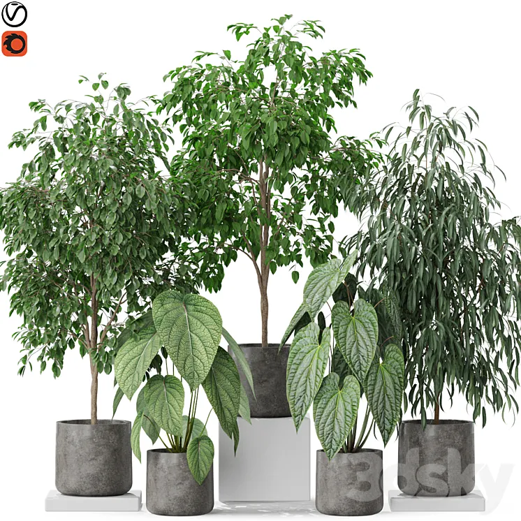 Plants collection 578 3D Model Free Download