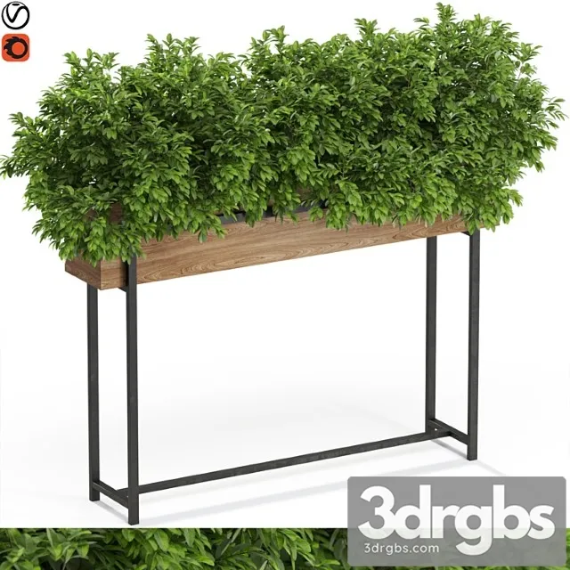 Plants collection 588 Plants collection 588