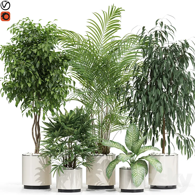 Plants collection 600 3D Model Free Download