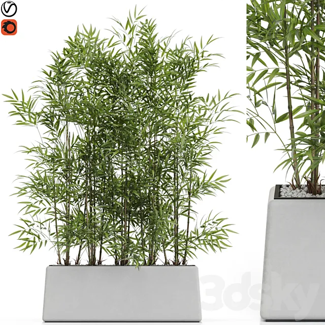 Plants collection 615 3DModel