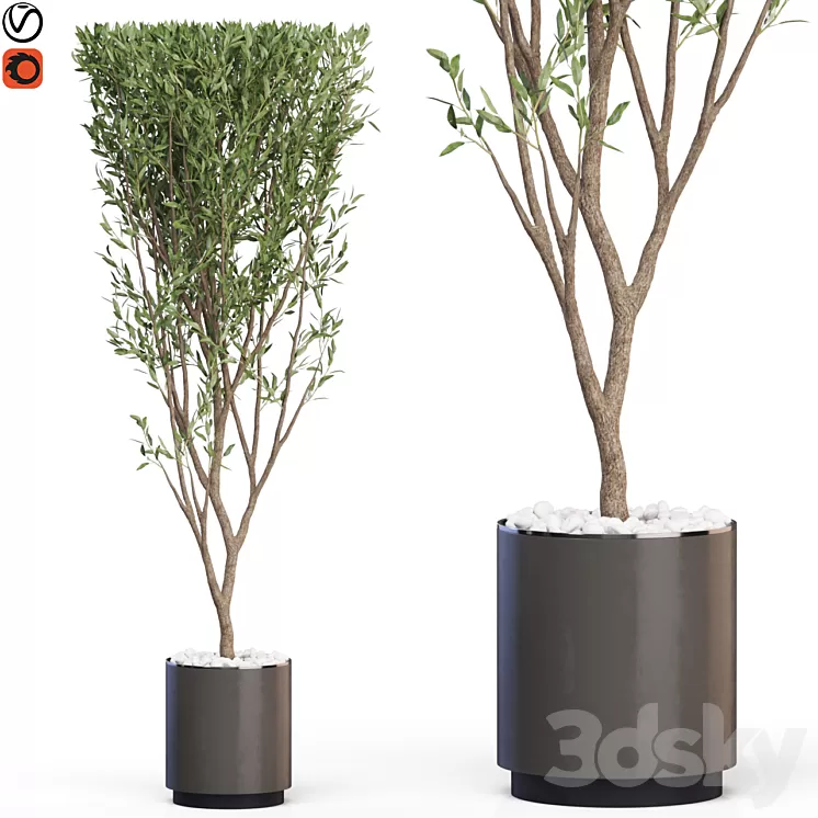 Plants collection 624 3D Model Free Download