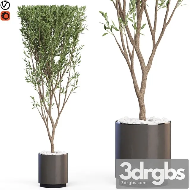 Plants collection 624 Plants collection 624