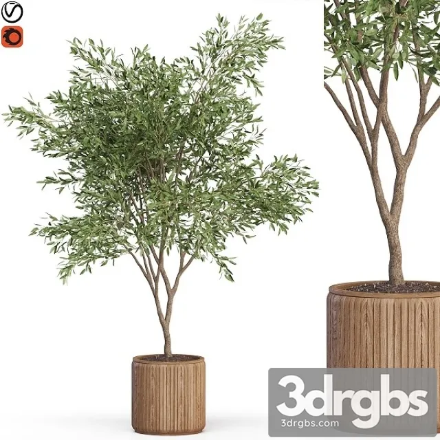 Plants Collection 625 3D Model Download