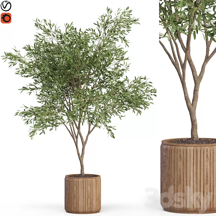Plants collection 625 3D Model Free Download
