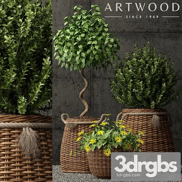 Plants collection 65 Plants collection 65