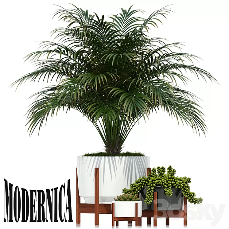 Plants collection 68 Modernica pots 3D Model Plants collection 68 Modernica pots 3D Model