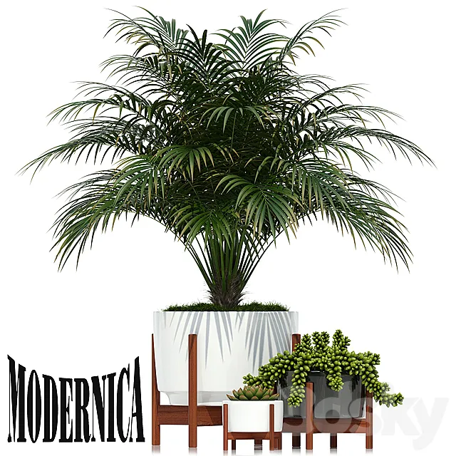 Plants collection 68 Modernica pots 3DModel Plants collection 68 Modernica pots 3DModel
