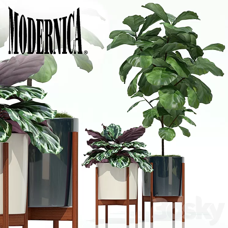 Plants collection 69 Modernica pots 3D Model Plants collection 69 Modernica pots 3D Model