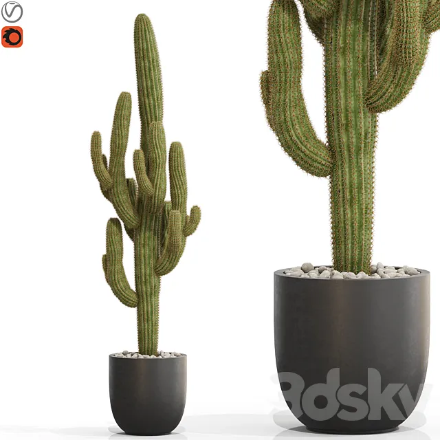 Plants collection 690 3D Model Plants collection 690 3D Model