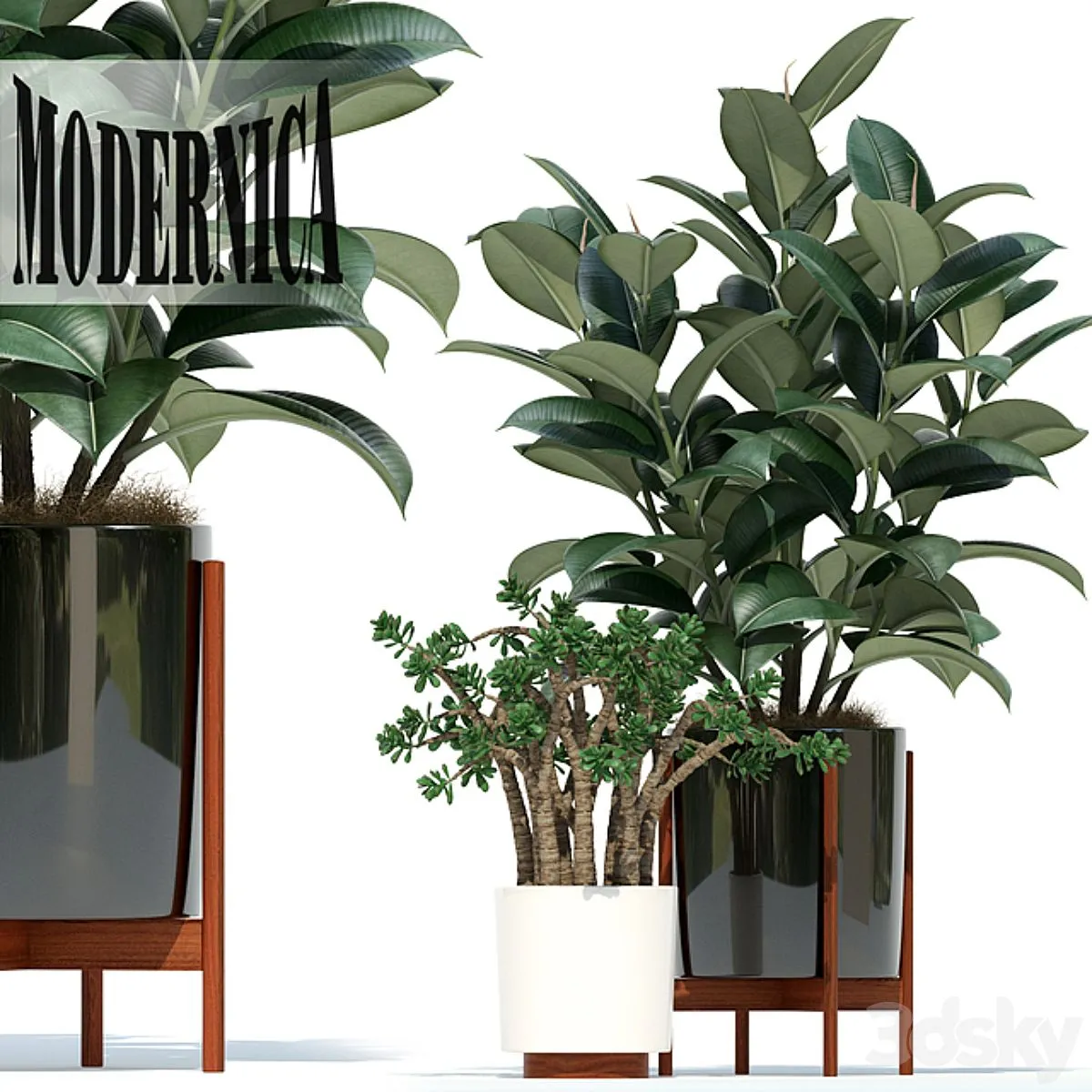 Plants collection 72 Modernica pots 3D Model Plants collection 72 Modernica pots 3D Model