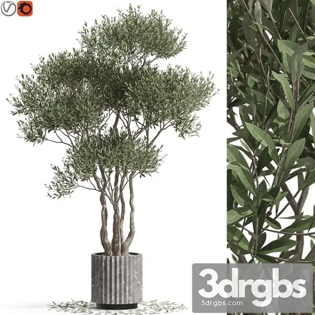 Plants Collection 723 3D Model Download