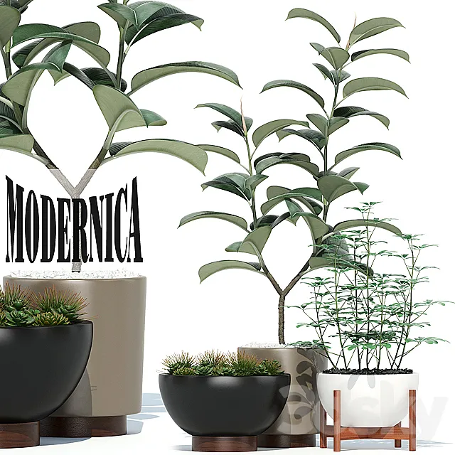 Plants collection 73 Modernica pots 3DModel Plants collection 73 Modernica pots 3DModel