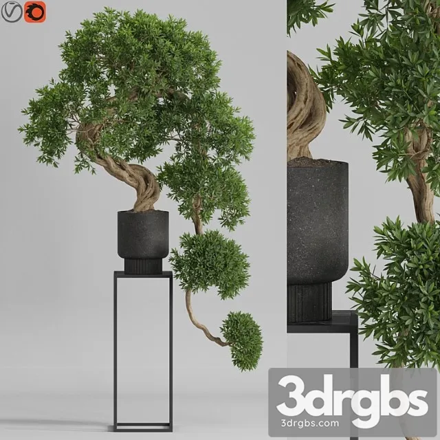 Plants collection 744 Plants collection 744