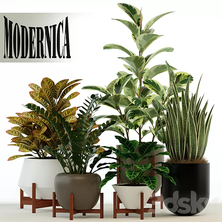 Plants collection 75 Modernica pots 3D Model Plants collection 75 Modernica pots 3D Model