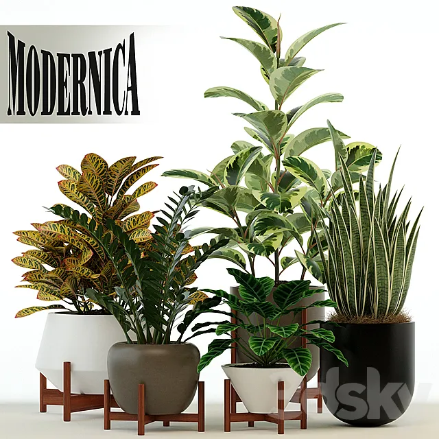 Plants collection 75 Modernica pots 3DModel Plants collection 75 Modernica pots 3DModel