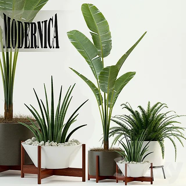 Plants collection 76 Modernica pots 3D Model Plants collection 76 Modernica pots 3D Model
