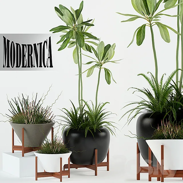 Plants collection 77 Modernica pots 3D Model Plants collection 77 Modernica pots 3D Model