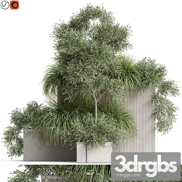 Plants collection 770 Plants collection 770