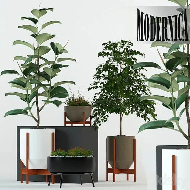 Plants collection 78 Modernica pots 3D Model Plants collection 78 Modernica pots 3D Model