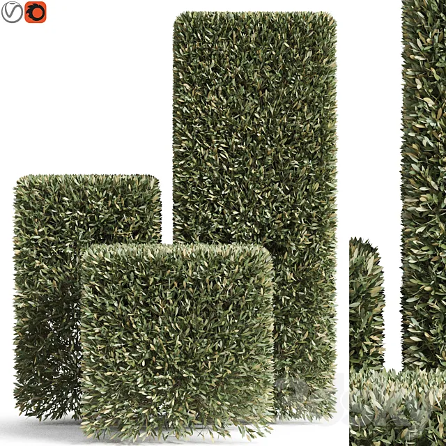 Plants collection 858 3D Model