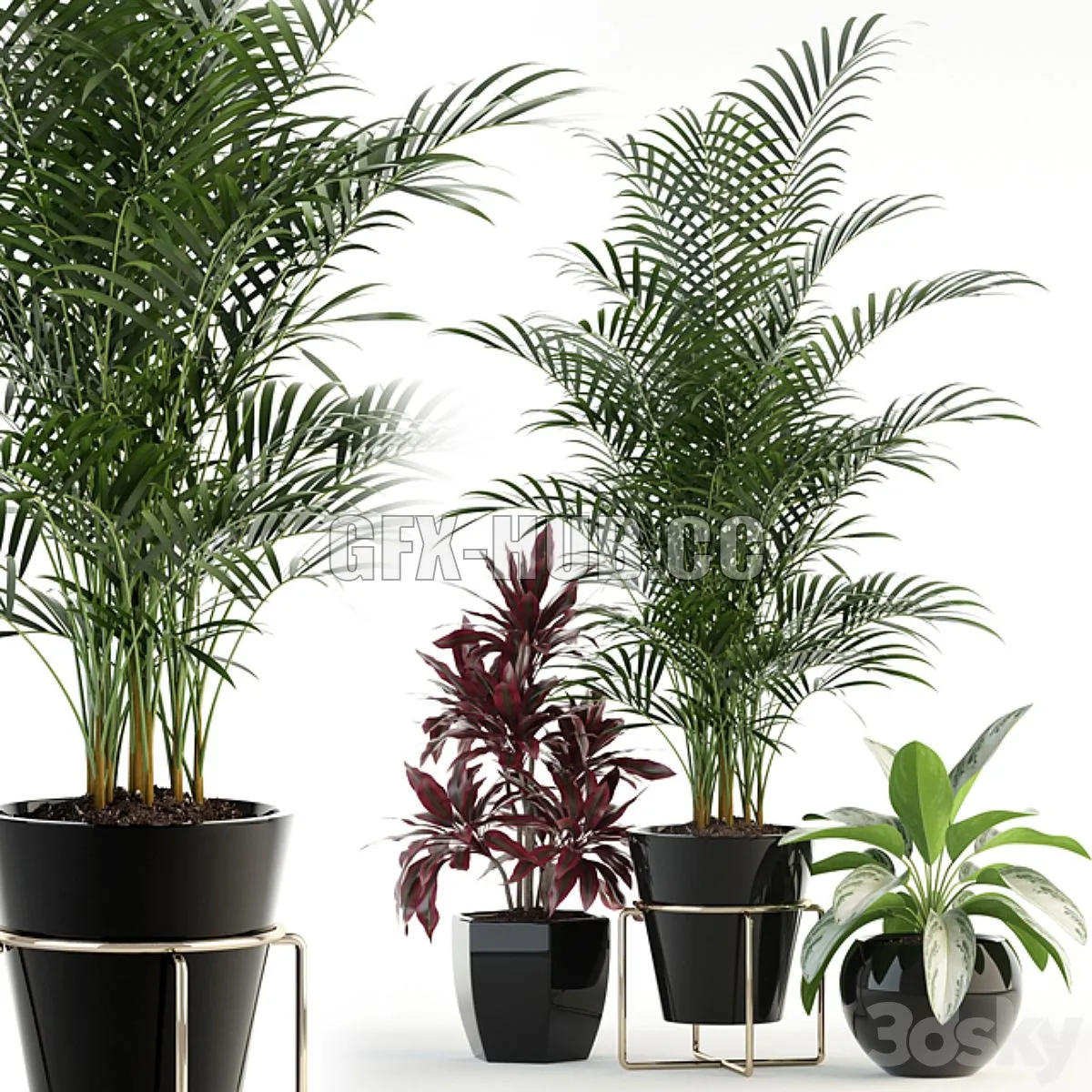 Plants collection 89 3D Model