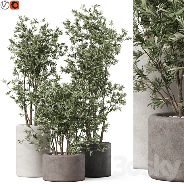 Plants collection 893 3D Model