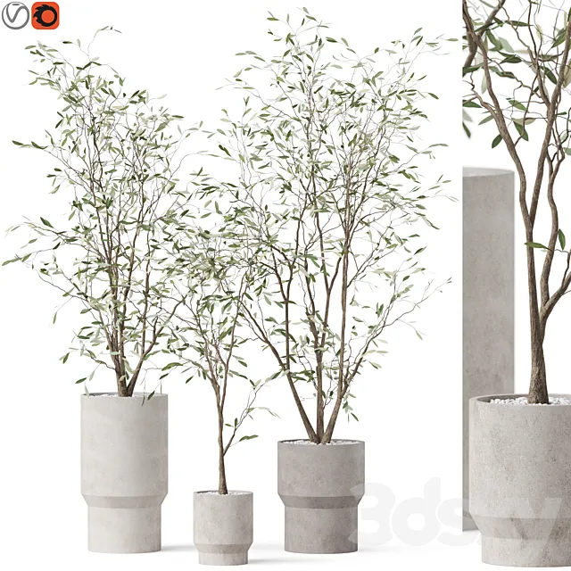 Plants collection 900 3D Model