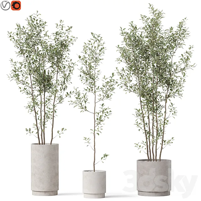 Plants collection 901 3D Model