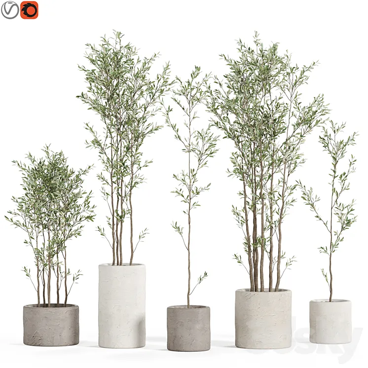 Plants collection 949 3D Model Free Download