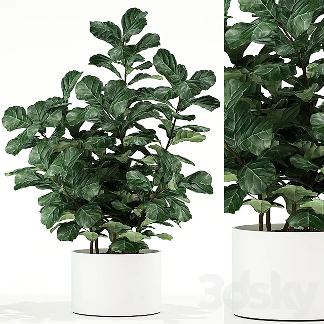 Plants collection 98 3D Model Plants collection 98 3D Model