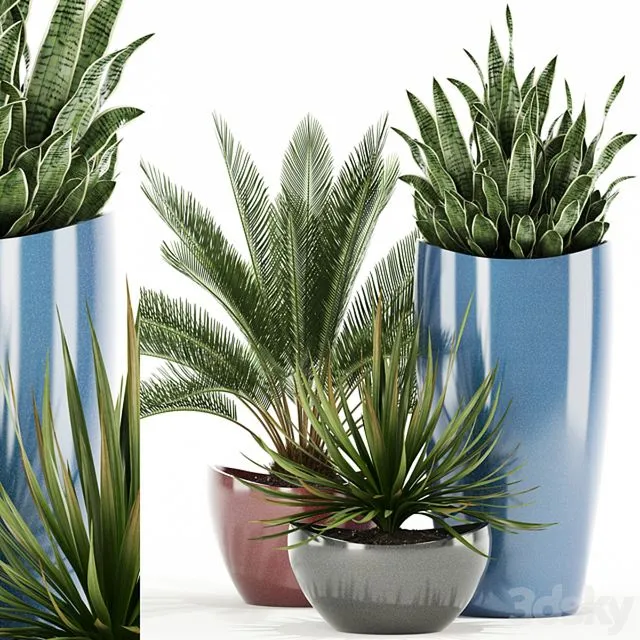 Plants collection 99 Awesomeplanters 3D Model Plants collection 99 Awesomeplanters 3D Model