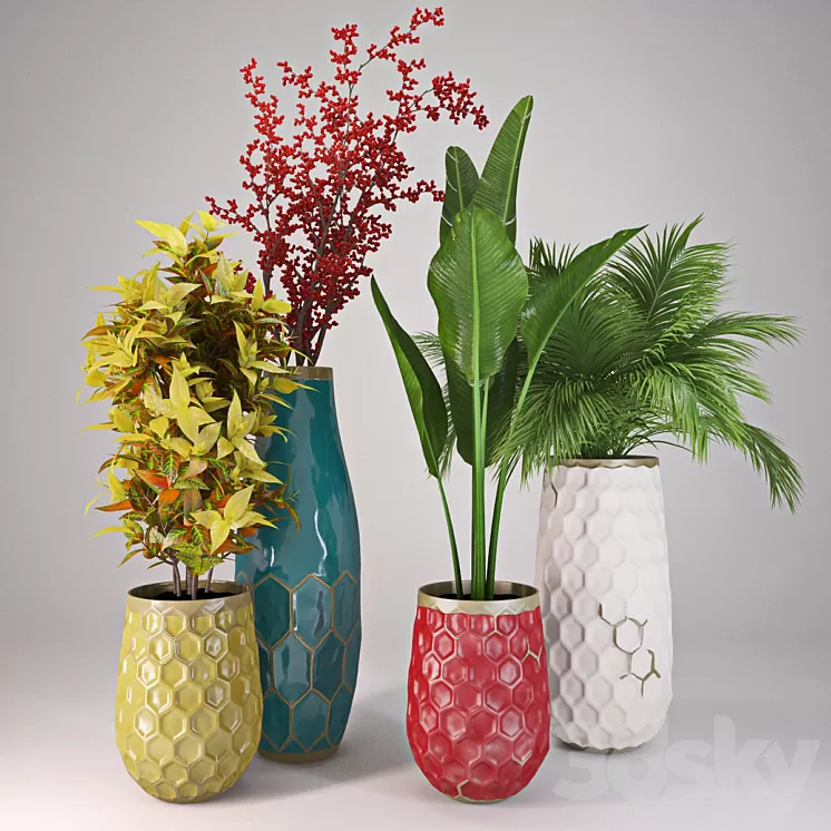 Plants Collection II 3D Model Plants Collection II 3D Model