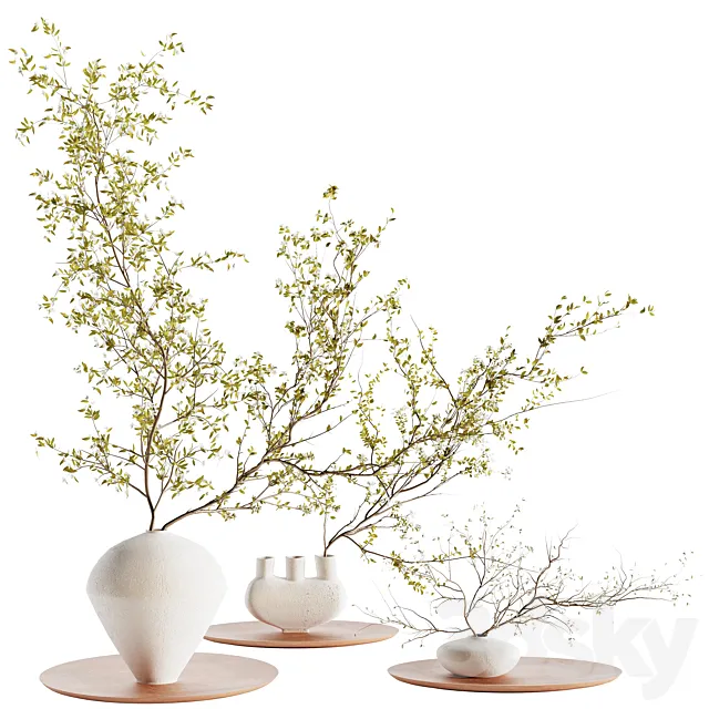 plants collection set 5 3D Model plants collection set 5 3D Model