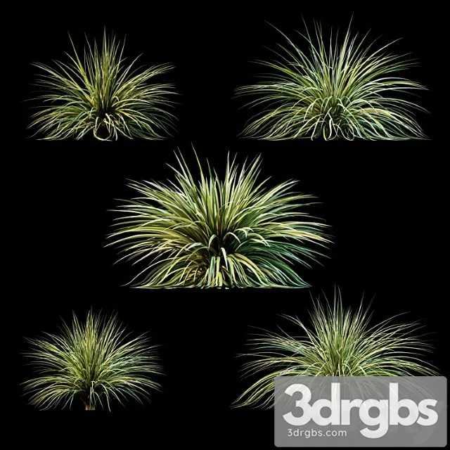 Plants for exterior v3 Plants for exterior v3