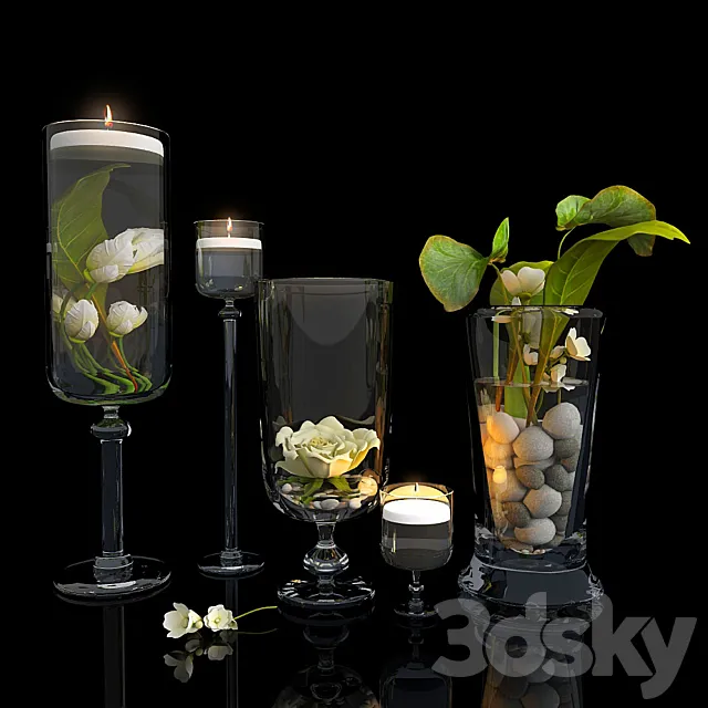 Plants in glass vases 3DModel