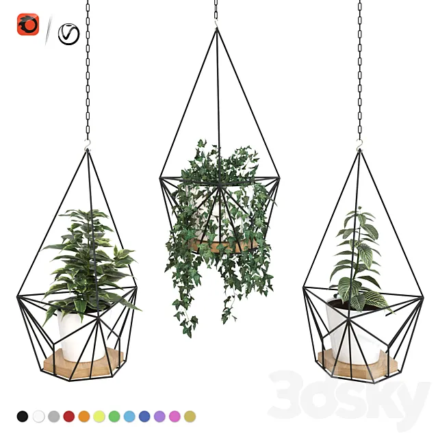 Plants in hanging planters ARCHPOLE Shuttle2 3D Model
