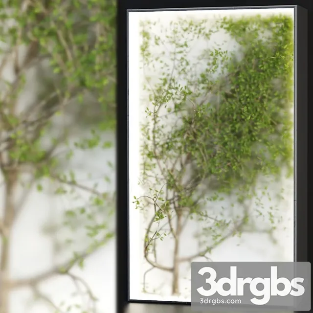 Plants In The Light Box Vol 176 3D Model Download