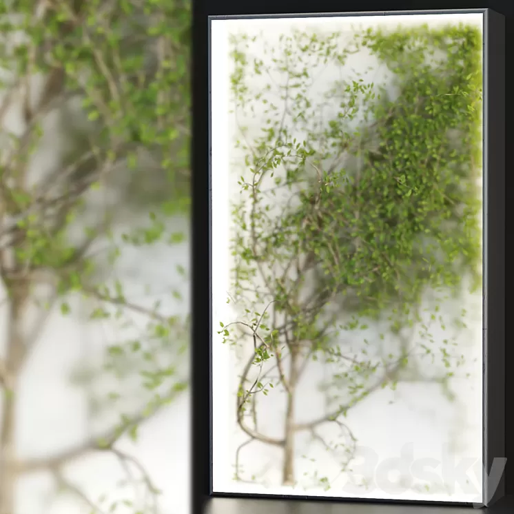 Plants in the light box vol 176 3D Model Free Download