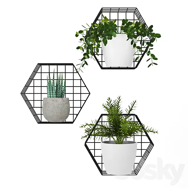 Plants on the wall 3DModel Plants on the wall 3DModel