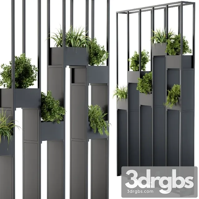 Plants partition Plants partition