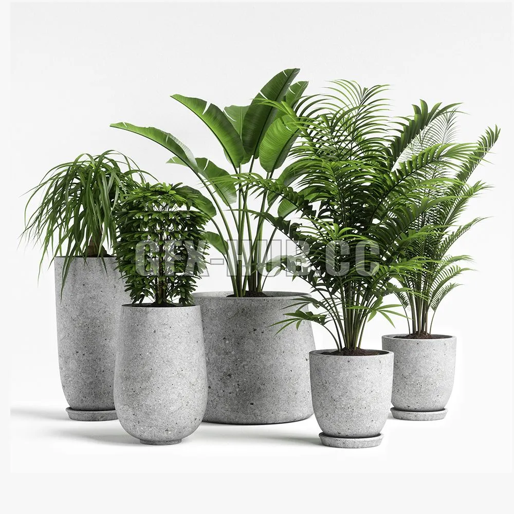 plants set 04 3D Model