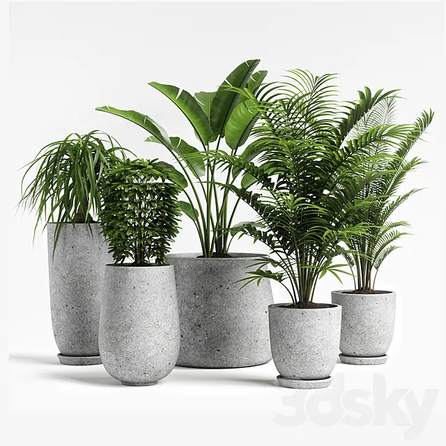plants set 04 3D Model plants set 04 3D Model
