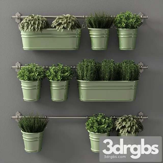 Plants set 08 Plants set 08