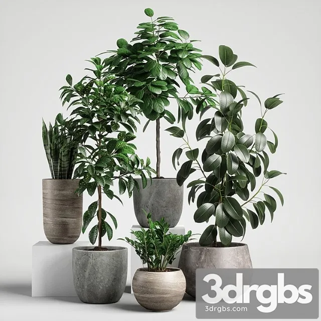 Plants set 10 Plants set 10