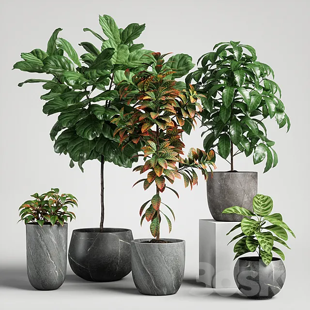plants set 11 3D Model