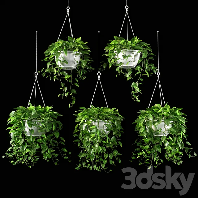 plants set 13 3D Model