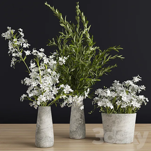 Plants set 3 3DModel Plants set 3 3DModel